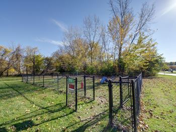 A chain link fence surrounds a green field.